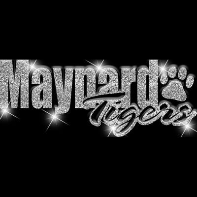 GLT1   SILVER GLITTER Thumbnail